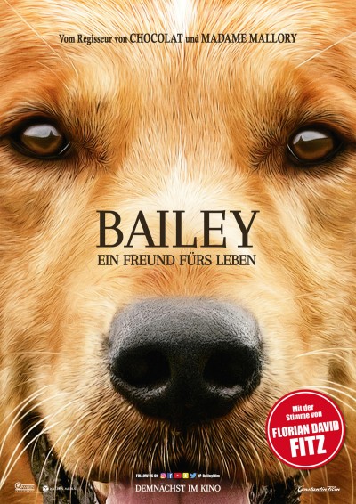 Filmplakat Bailey - Ein Freund fürs Leben