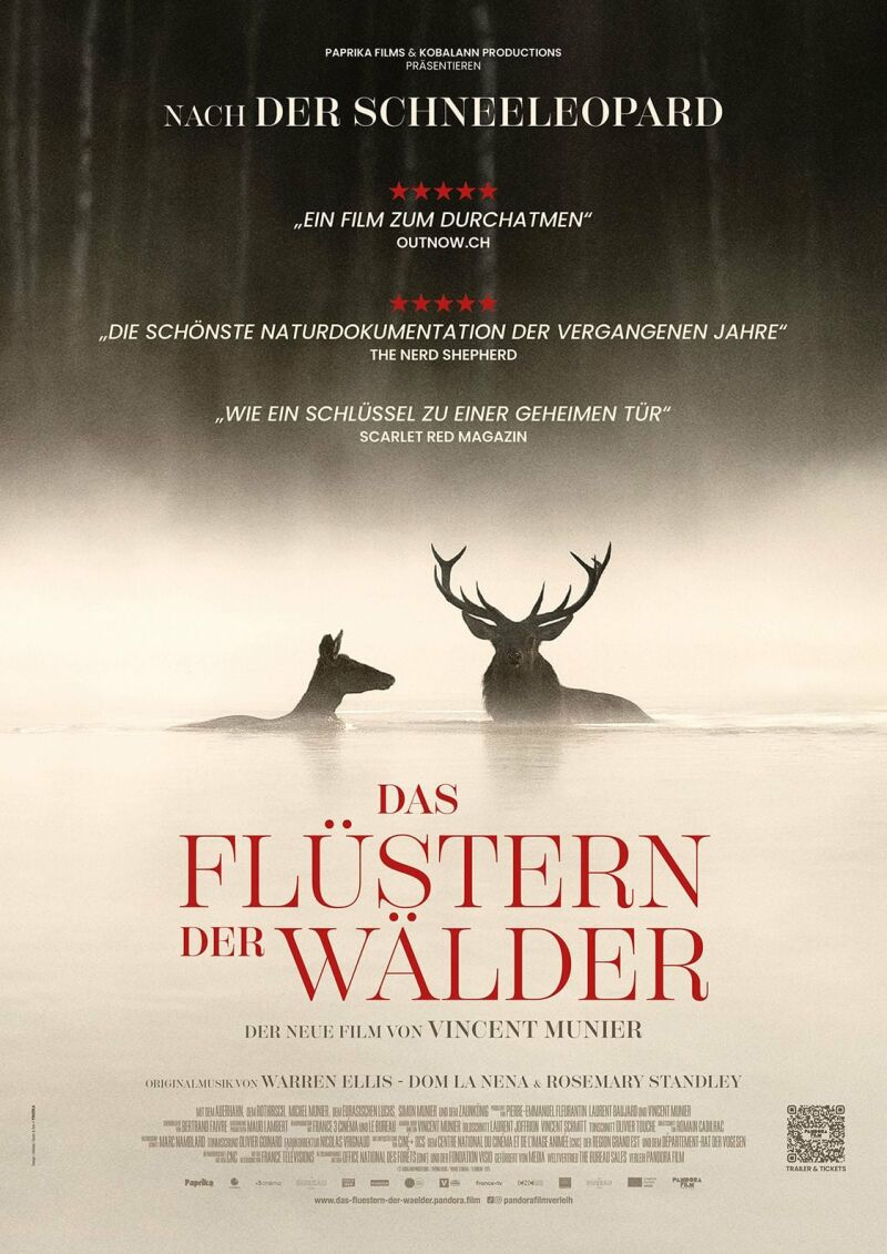 Szene aus Das Flüstern der Wälder